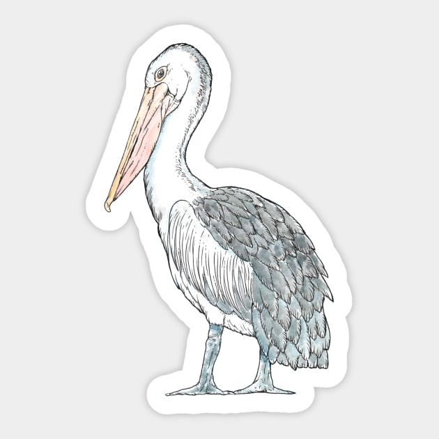 Australian Pelican Sticker by bangart